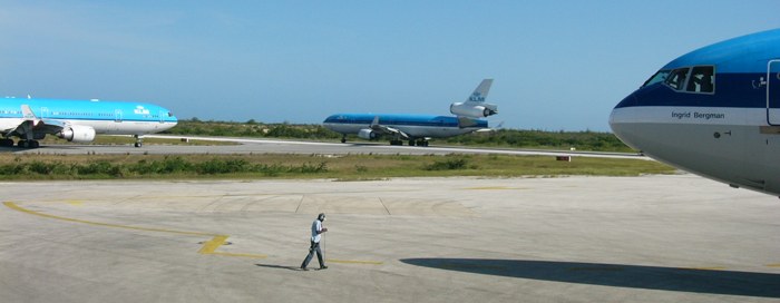 3 grote blauwe vogels op Bonaire
